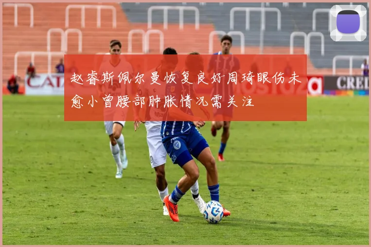 赵睿斯佩尔曼恢复良好周琦眼伤未愈小曾腰部肿胀情况需关注