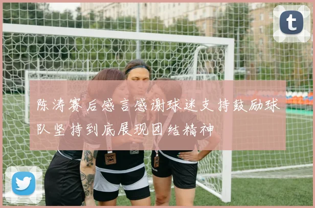 陈涛赛后感言感谢球迷支持鼓励球队坚持到底展现团结精神